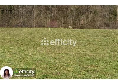 Terrain constructible - 1 249 m²