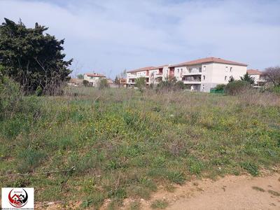 Terrain - 2 990 m²