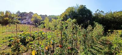 Maison ancienne - 56 m² - 3 pièces