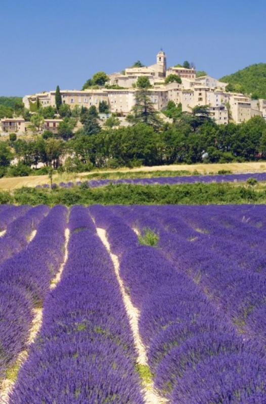 Mas - 270 m² - 12 pièces