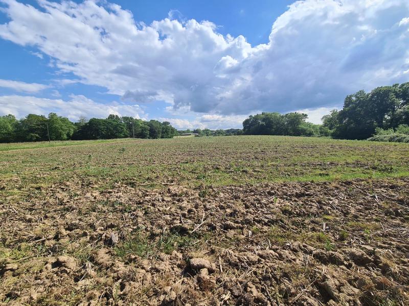 Maison ancienne - 235 m² - 7 pièces