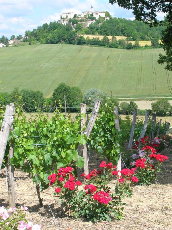 Domaine de Cauquelle