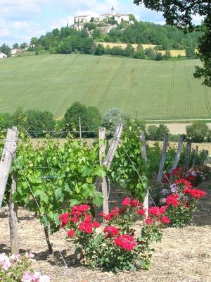 Domaine de Cauquelle