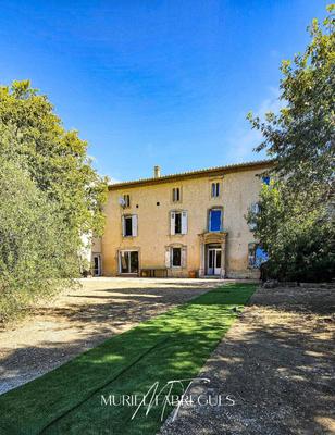 Maison - 373 m² - 10 pièces