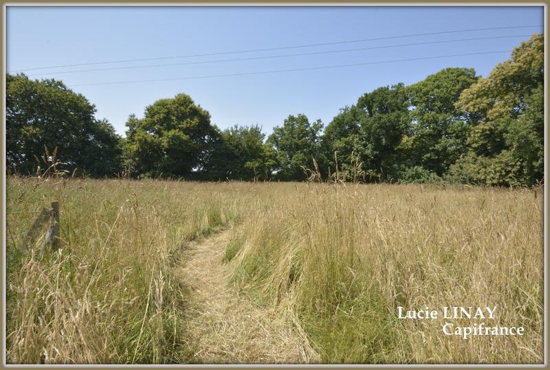 Maison - 180 m² - 5 pièces