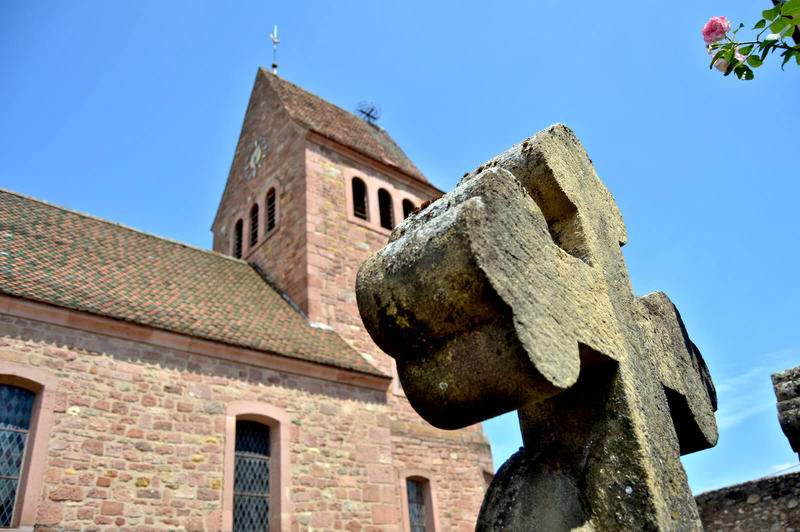 Balade ludique - la cité viticole