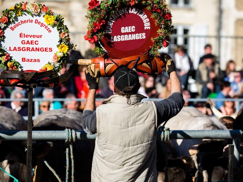 Fête des Boeufs Gras de Bazas