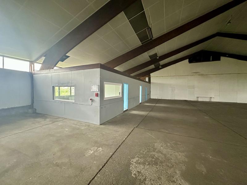 Local d'activités - 980 m²