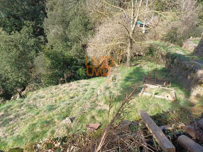 Maison en pierre - 52 m² - 3 pièces