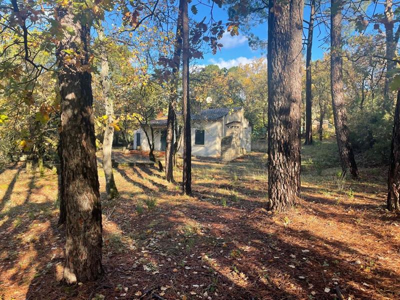 Maison - 85 m² - 3 pièces