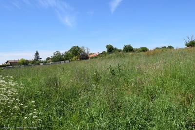 Terrain constructible - 2 782 m²