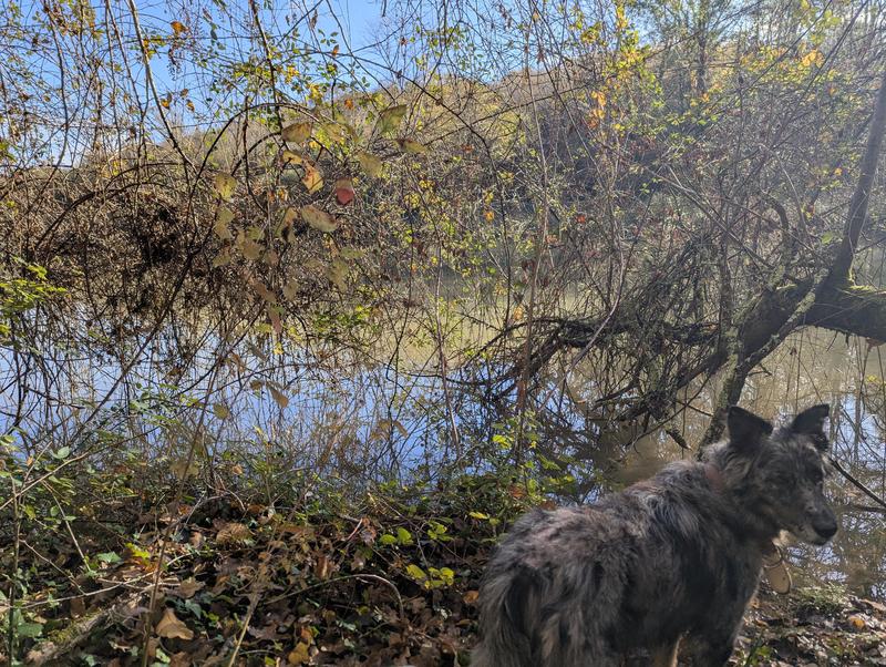 Ferme - 100 m² - 4 pièces