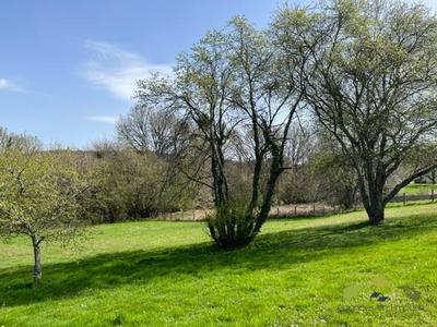 Maison de campagne - 140 m² - 6 pièces