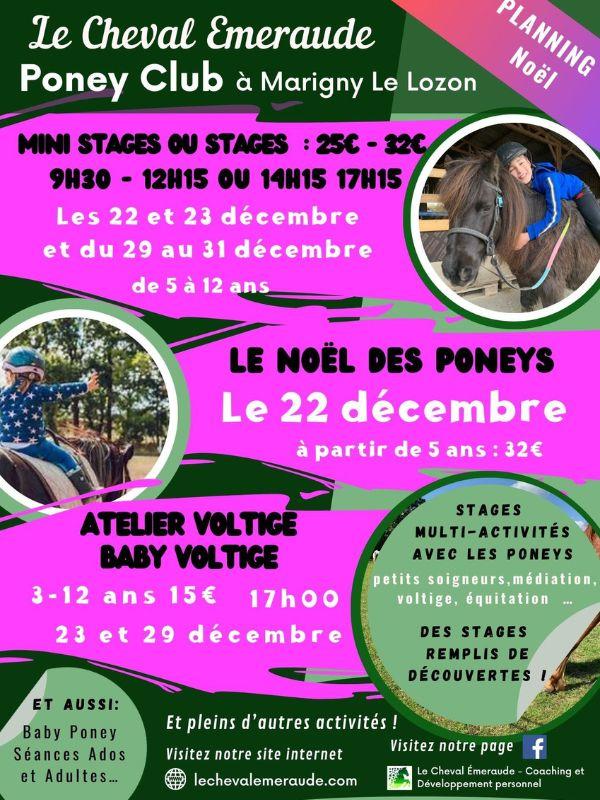 Le Cheval Emeraude &gt; Programme des vacances