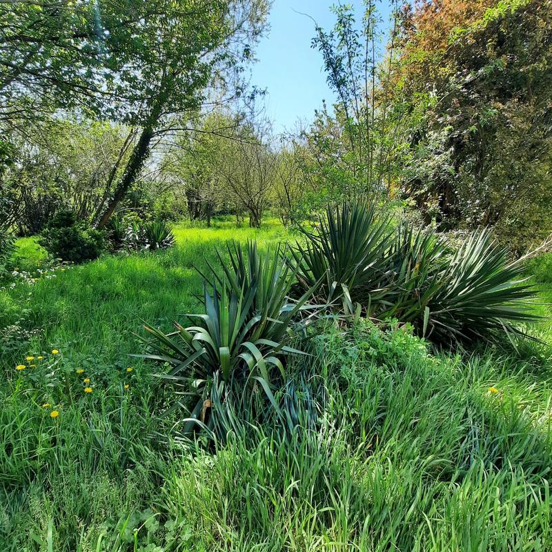 Maison - 118 m² - 5 pièces