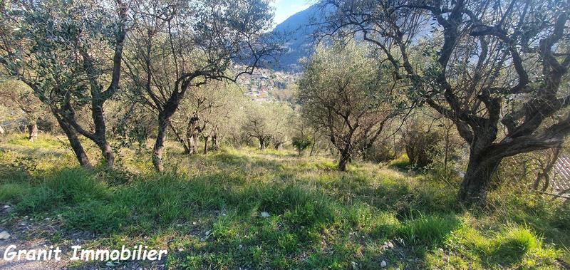 Terrain constructible - 1 503 m²