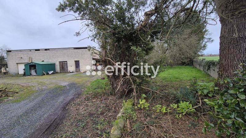 Pavillon - 207 m² - 10 pièces