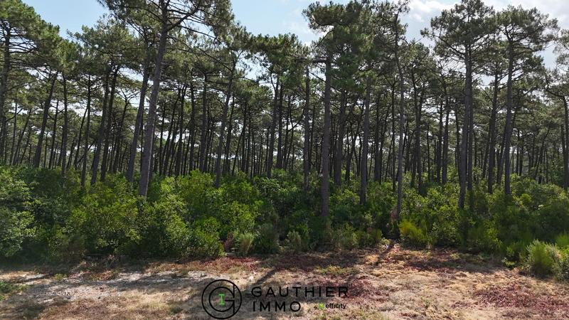 Maison - 175 m² - 5 pièces