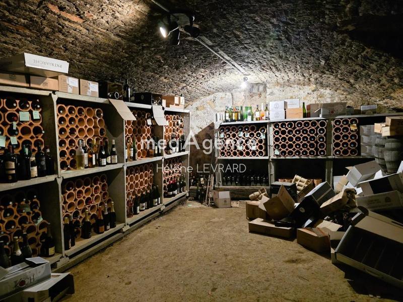 Maison de campagne - 263 m² - 11 pièces