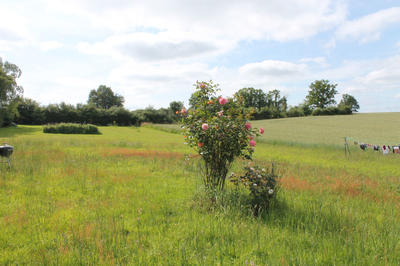 Maison - 191 m² - 9 pièces