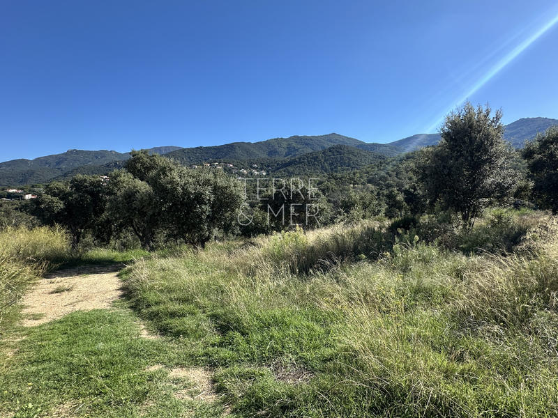 Maison - 127 m² - 4 pièces