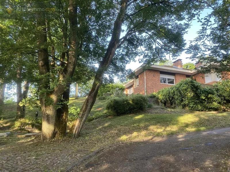 Maison - 240 m² - 6 pièces