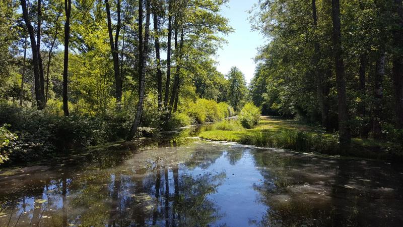 Terrain - 1 030 000 m²