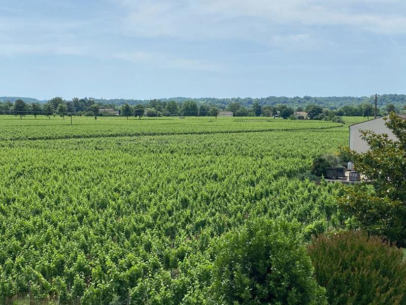 Demeure - 280 m² - 6 pièces