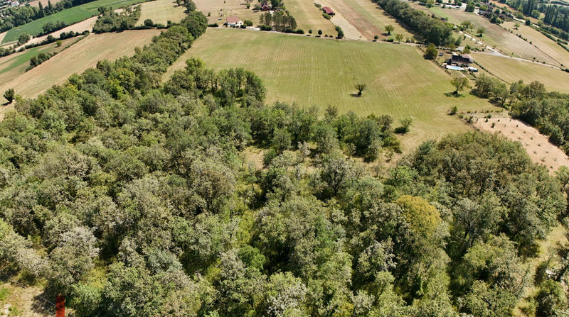 Terrain - 21 356 m²