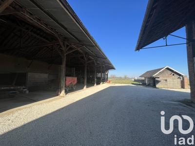Ferme - 280 m² - 8 pièces