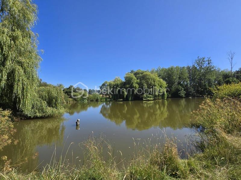 Terrain de loisirs - 45 907 m²