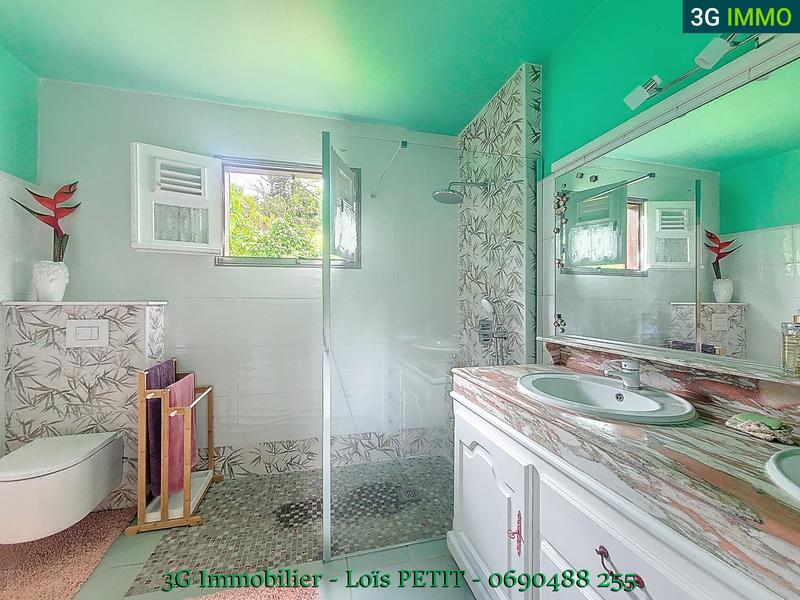 Maison - 290 m² - 8 pièces