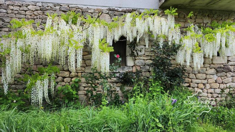 Maison de village - 130 m² - 6 pièces