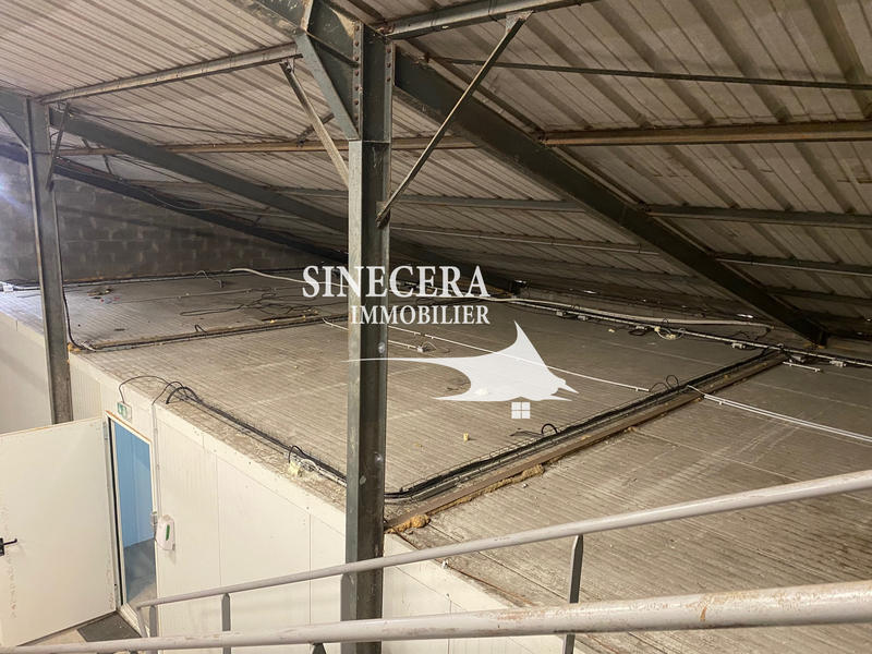 Local commercial - 310 m²