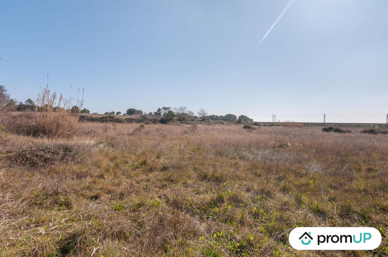 Terrain agricole - 5 000 m²