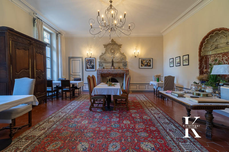 Château - 1 450 m² - 28 pièces