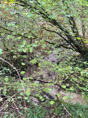 Terrain - 82 016 m²