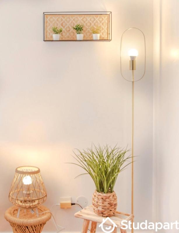 Chambre - 30 m² - 1 pièce