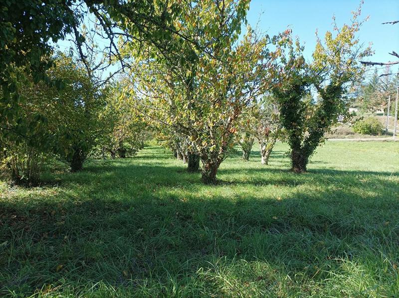Terrain constructible - 1 628 m²