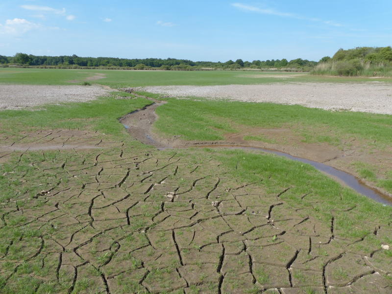 Promenade insolite sur un étang sans eau