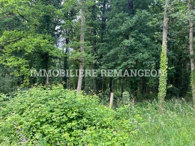 Corps de ferme - 50 m² - 2 pièces