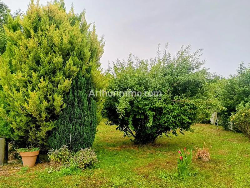 Maison - 278 m² - 8 pièces