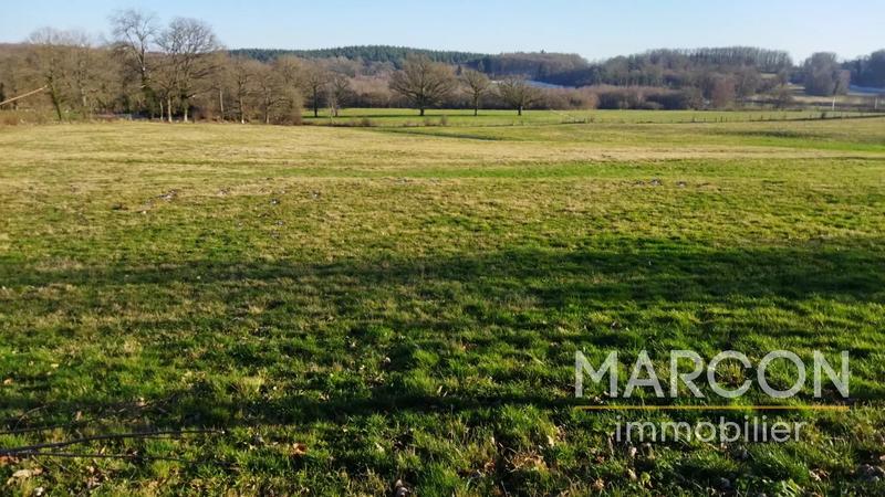 Propriété - 239 m² - 9 pièces