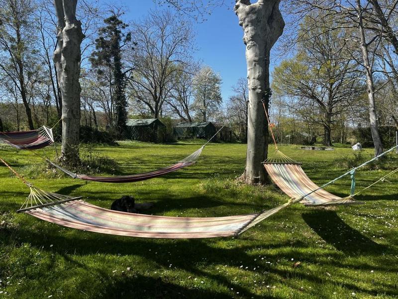 Propriété - 570 m² - 20 pièces