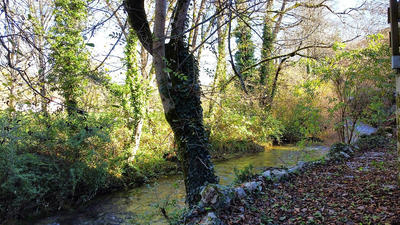 Maison - 455 m² - 10 pièces