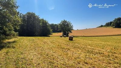 Terrain - 11 852 m²