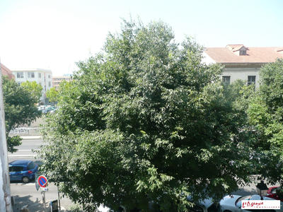 Appartement - 28 m² - 1 pièce