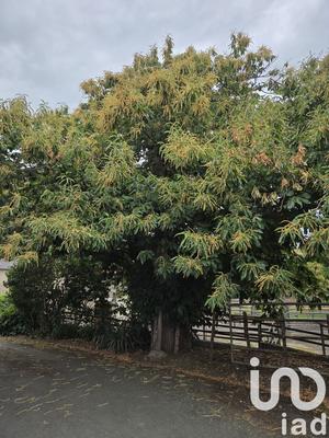 Maison de campagne - 218 m² - 12 pièces