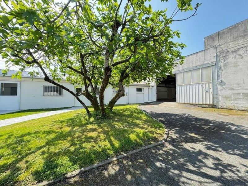 Local commercial - 275 m² - 3 pièces