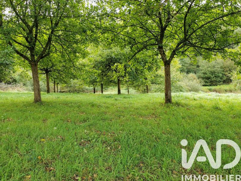 Terrain agricole - 15 000 m²